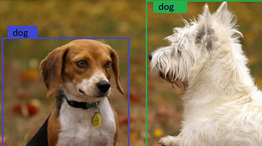 Video Object Detection
