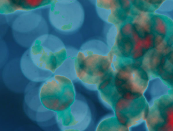 Boosting our understanding of microbial world with software repurposing